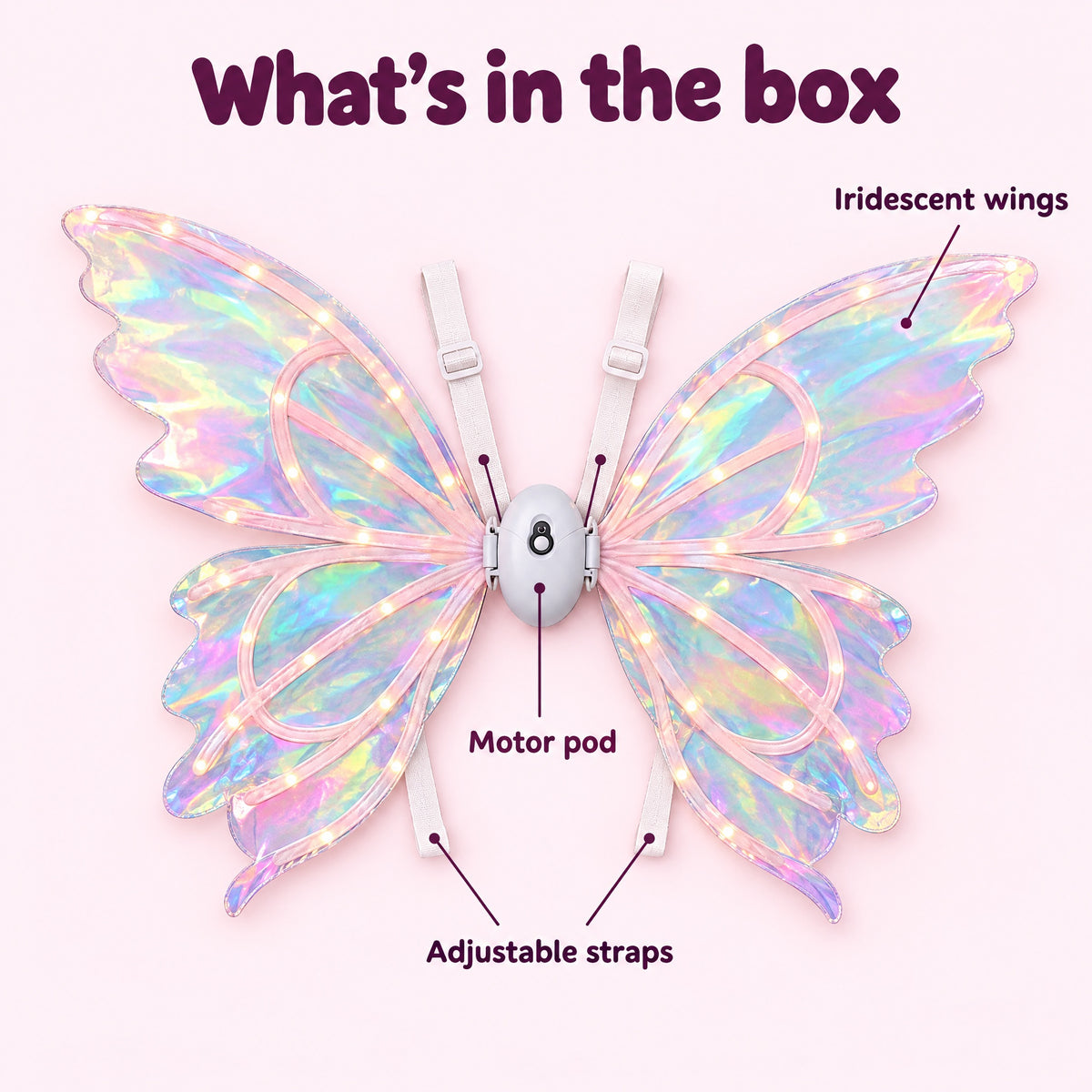 What's in the box: the wings with the motor pod and adjustable straps