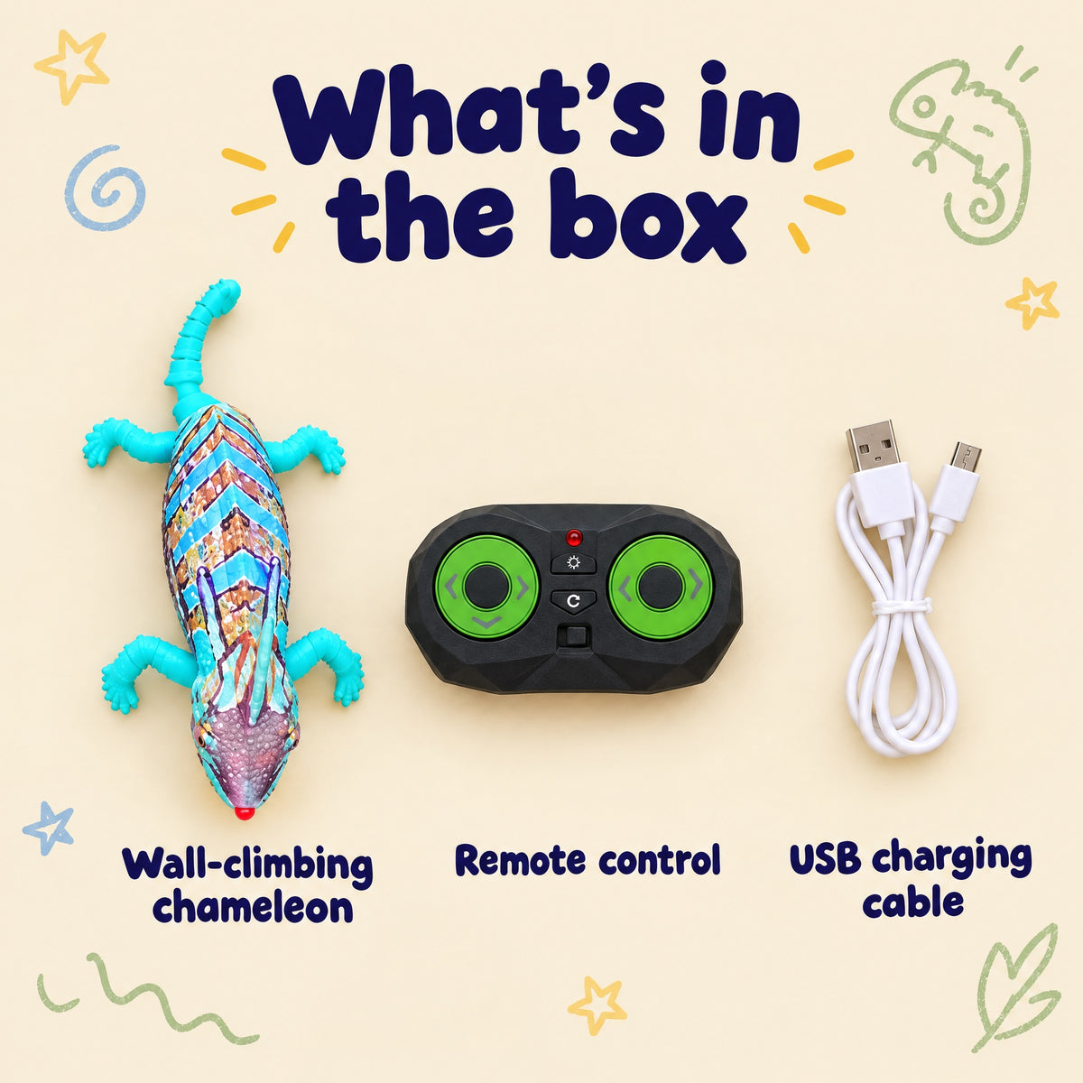 What's in the box